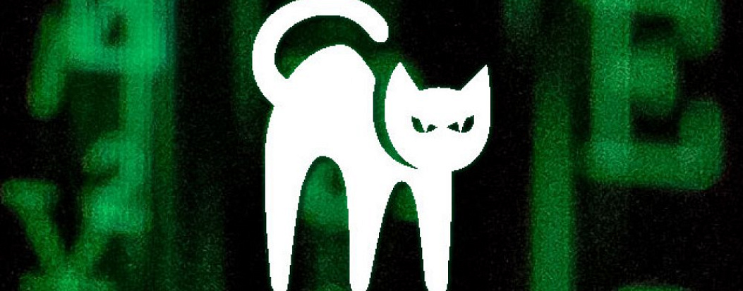 Перетягивание сайта: доступ к сайту утечек хакерской группировки BlackCat есть и у ФБР, и у самих хакеров