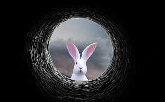 Явление «белого кролика» – на сцену вышел новый зловред-шифровальщик
